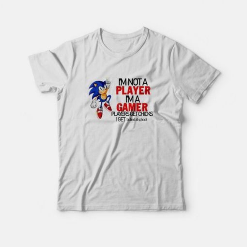 Sonic I'm Not A Player I'm A Gamer T-Shirt