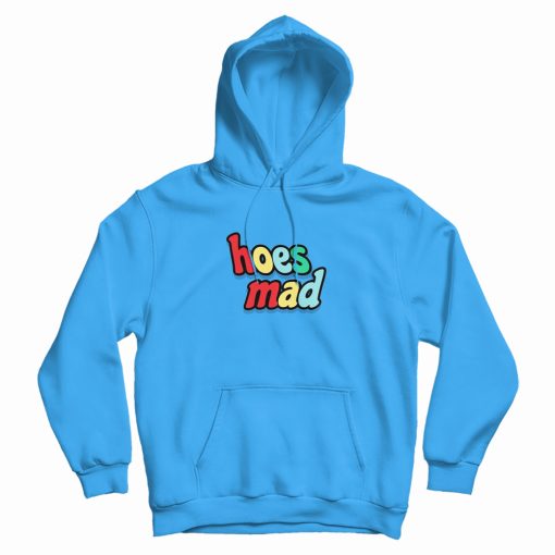 Hoes Mad 2020 Funny Hoodie