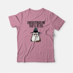 Underestimate Me That'll Be Fun Grumpy Cat Witch T-shirt