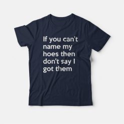 If You Can't Nama My Hoes T-shirt