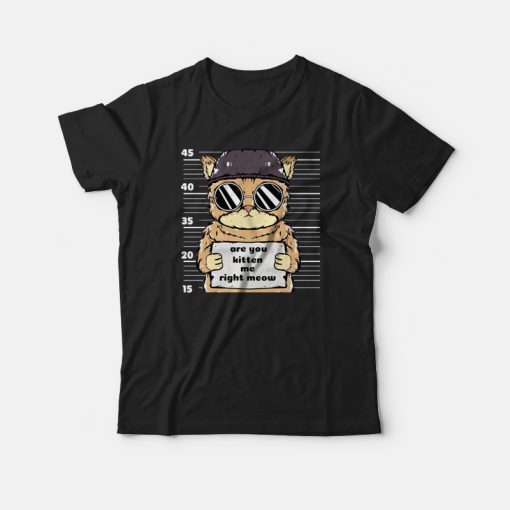 Are You Kitten Me Right Meow T-shirt