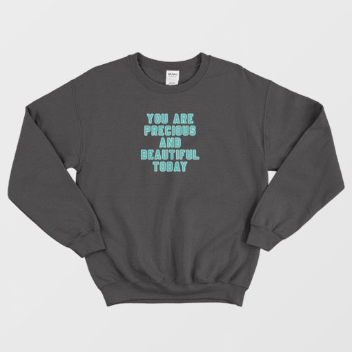 You Are Precious and Beautiful Today Sweatshirt