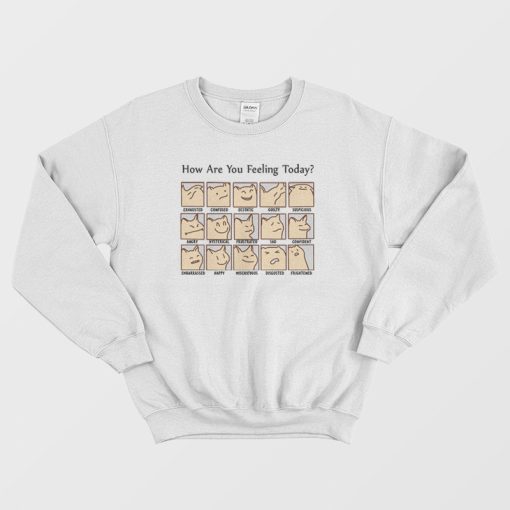 Cat How Are You Feeling Today Sweatshirt