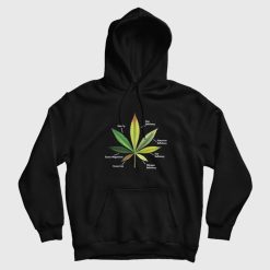 Cannabis Leaf Infographics Hoodie