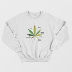 Cannabis Leaf Infographics Sweatshirt