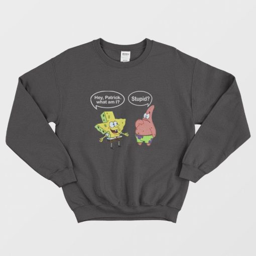 Spongebob Texas Stupid Sweatshirt