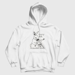 Sorry Kid I'm The Ether Bunny Funny Hoodie