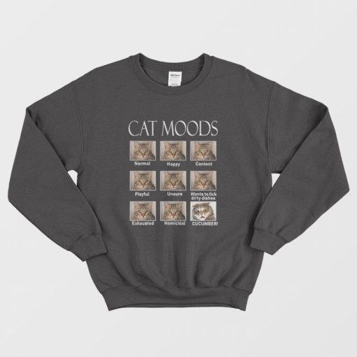 Cat Moods Funny Meme Sweatshirt