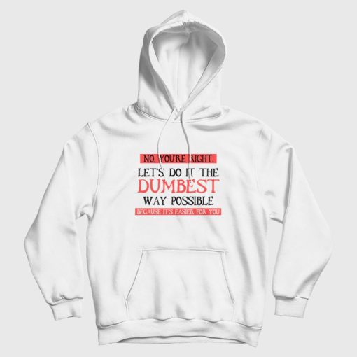 No You're Right Let's Do It The Dumbest Way Possible Because It's Easier For You Hoodie