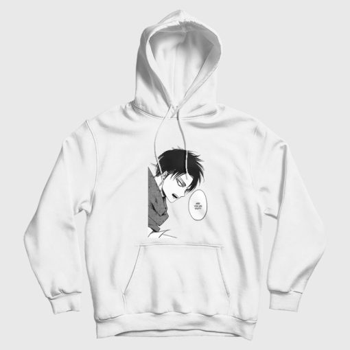 Levi Ackerman Are You An Idiot Hoodie