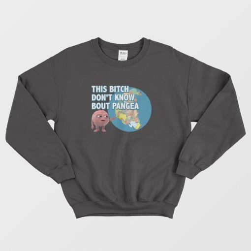 Lil Dicky Brain This Bitch Don't Know About Pangea Sweatshirt