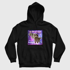 Raccoon My Pain Is Chronic But My Ass Is Iconic Hoodie