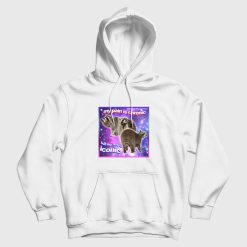 Raccoon My Pain Is Chronic But My Ass Is Iconic Hoodie