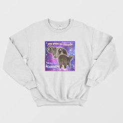 Raccoon My Pain Is Chronic But My Ass Is Iconic Sweatshirt