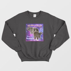 Raccoon My Pain Is Chronic But My Ass Is Iconic Sweatshirt