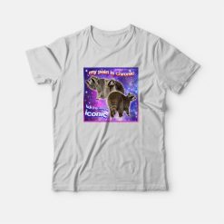 Raccoon My Pain Is Chronic But My Ass Is Iconic T-Shirt