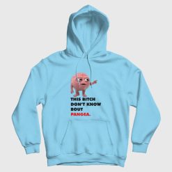 This Bitch Don't Know About Pangea Hoodie