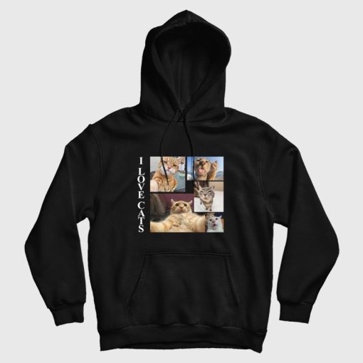 I Love Cats Funny Hoodie