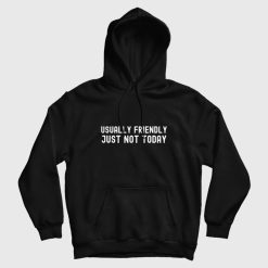 Usually Friendly Just Not Today Hoodie