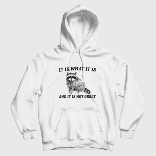 It Is What It Is And It Is Not Great Raccoon Hoodie