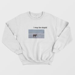 I May Be Stupid Cow on Beach Sweatshirt