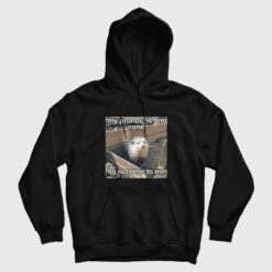 Opossum My Pronouns Are None Do Not Refer To Me Hoodie