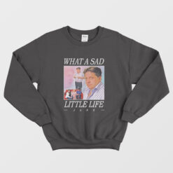 What A Sad Little Life Jane Sweatshirt