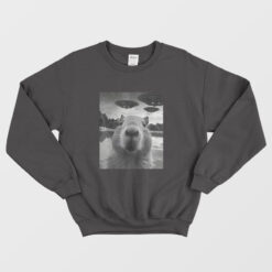 Capybara Selfie with UFOs Weird Sweatshirt