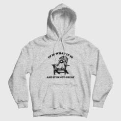 It Is What It Is and It Is Not Great Hoodie