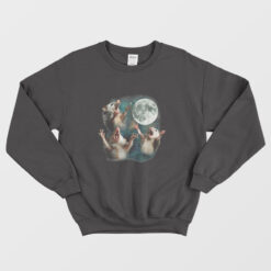 Three Possum Moon Funny Sweatshirt